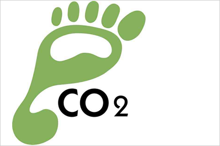Carbon Footprint Audit